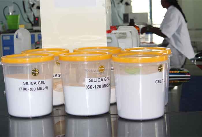 Joo - Niche Multi-Purpose HTML Template