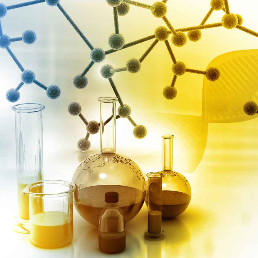 Joo - Niche Multi-Purpose HTML Template